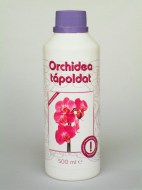 orchidea
